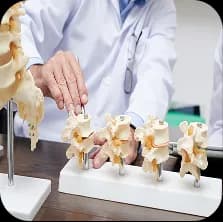 Journal of Orthopaedic